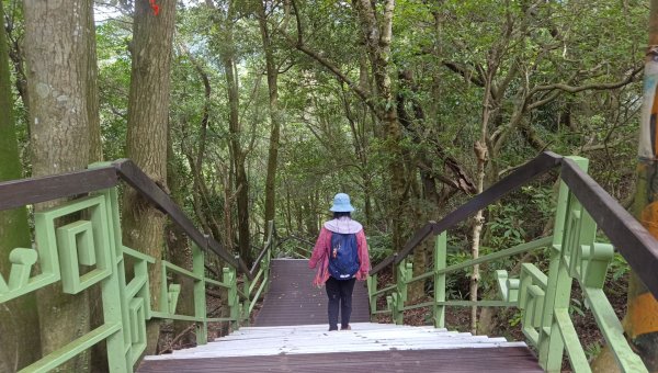 (姨婆趴趴走)第五十五集:攀登健走台北大崙頭尾山親山步道環狀一圈2853757