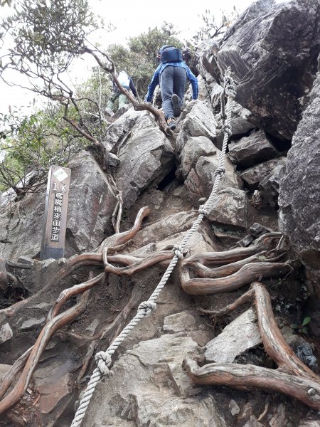 鳶嘴稍來山國家步道 477356