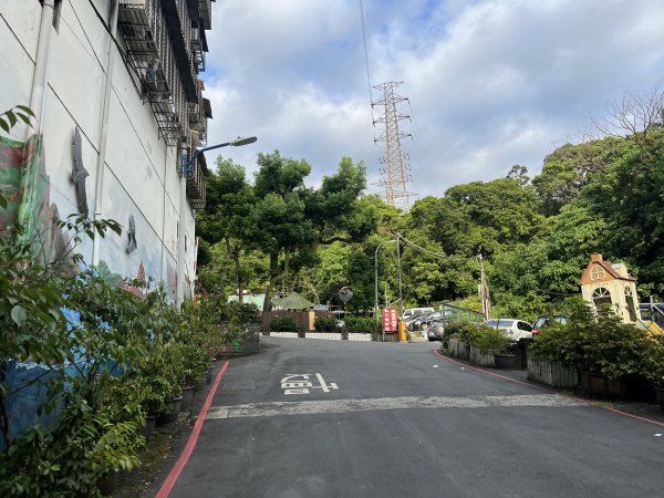 [微笑山線_第五段] 2025_0705 天上山系_國旗嶺2830058