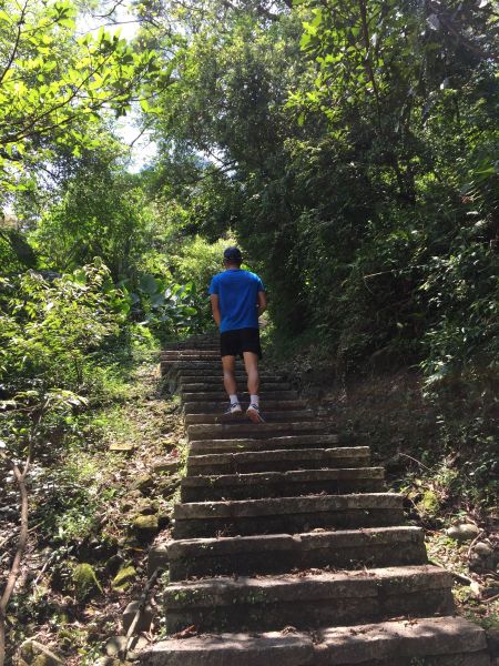 台灣小百岳#014-土庫岳390743