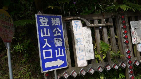 鵝公髻山登山健行趣(小百岳31號)1524797