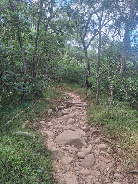 火炎山+南鞍古道O走202610143135317