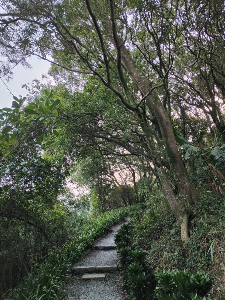 2023.12.08 南勢角山2695822