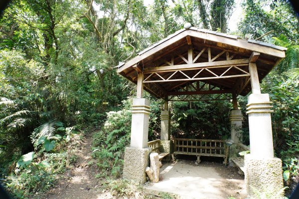 新竹 峨嵋 猿山、六寮山、玖玖山、獅頭山、獅尾山3012138