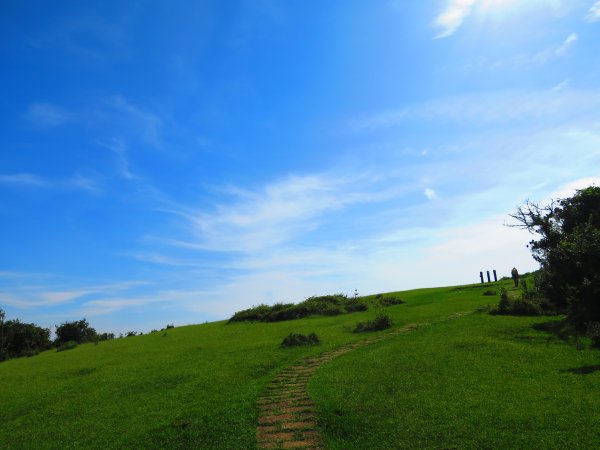 夏觀碧草如茵：頂山石梯嶺步道648283