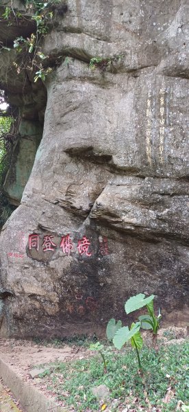 獅頭山.竹峨嵋-苗南庄2473274