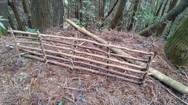 雪見遊戲區盡尾山二本松山2702691