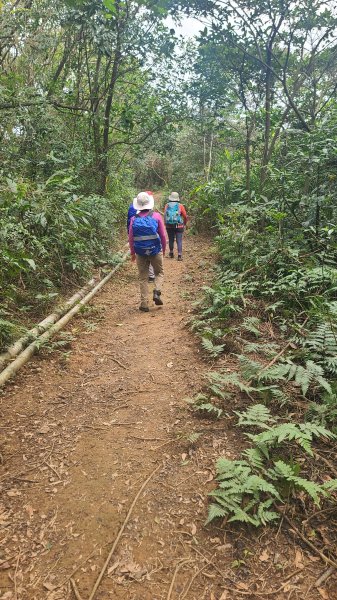 2025-01232淡蘭古道北二段(燦光寮古道到澳底)2696690