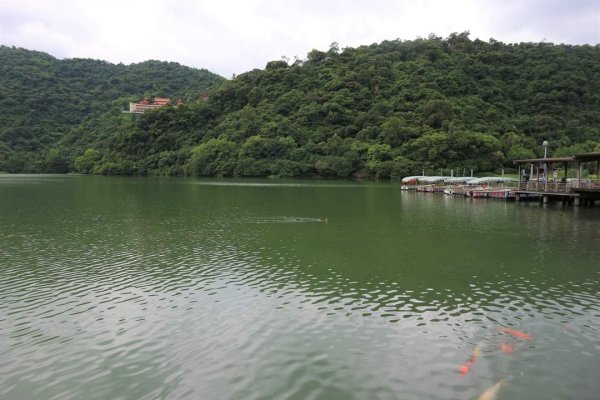 〔宜蘭冬山〕梅花湖環湖步道。賊仔澳 ，南方澳觀景台 ，東澳 粉鳥林2217910