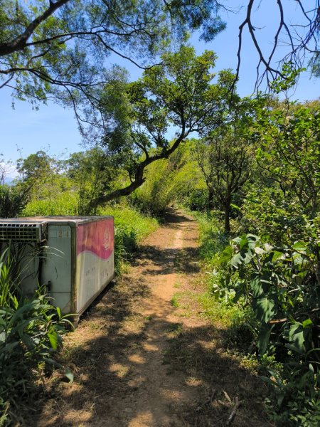 20250822微笑山線205高地段2868577