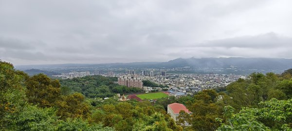 2026/05/10 竹東森林公園步道+樹杞林山O型