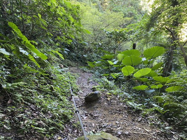 2025微笑山線大縱走尋寶集章任務-Ep.08【二格山系】筆架連峰段｜二格山 × 筆架山北峰2921630