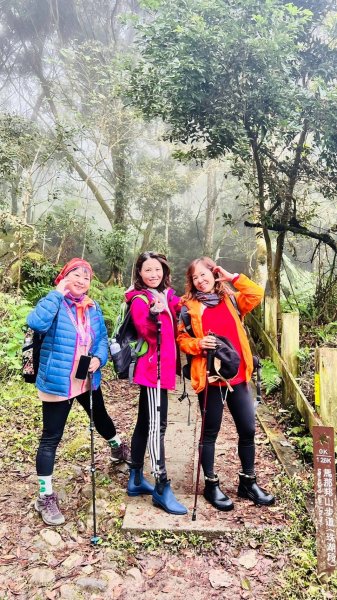 〽️12/25（三）聖誕節~楓紅了🍁~馬拉邦(小百岳)賞楓眺望聖稜線2676376