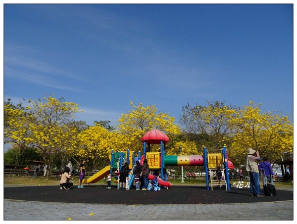 台中/廍子公園風鈴木865530