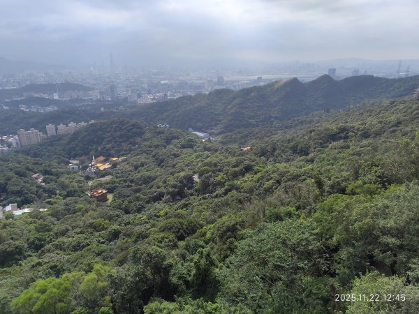 內湖碧山巖、白石湖吊橋2942790