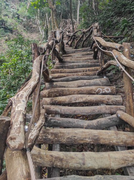 大坑1.5.2號登山步道1879748