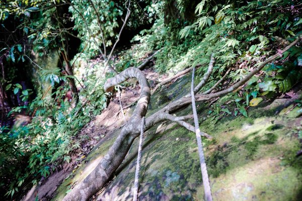 新竹關西鎮 石牛山938202