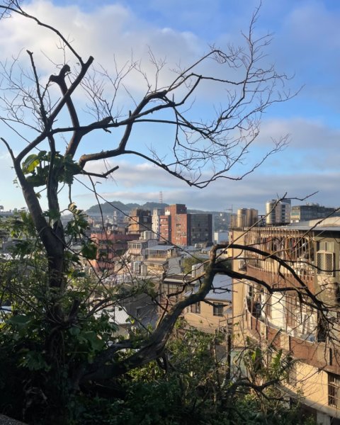 基隆尋找7隻傘人家族2712731