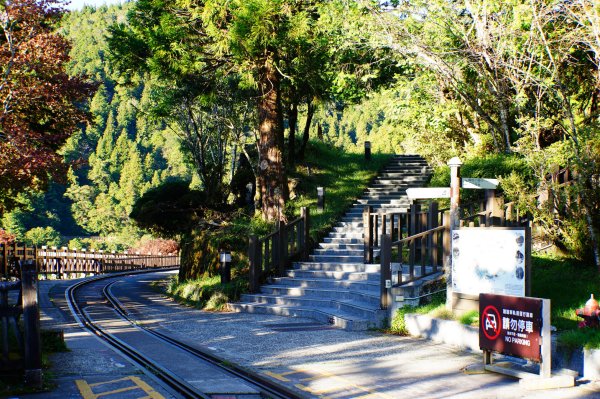 宜蘭 大同 多門山3127609