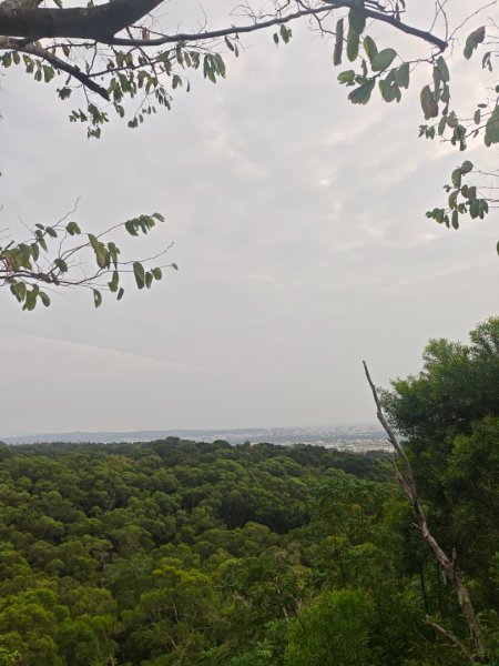 大肚萬里長城11年前的今天2926969