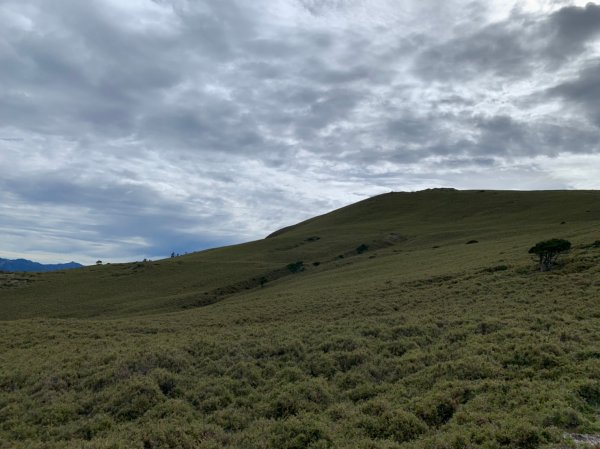 20220625台東海端向陽山、向陽山北峰、三叉山、嘉明湖1745552