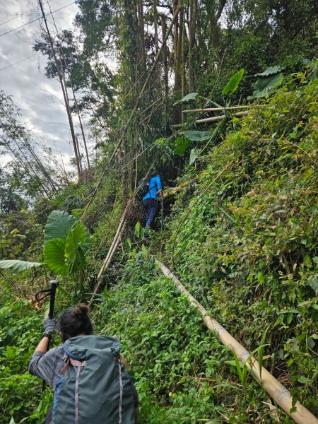 20241214竹崎15連峰(四大天王山到大湖尖山路況荒涼)2669004