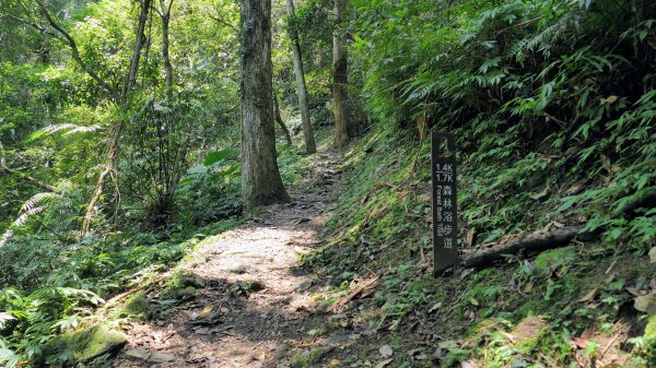 福山部落,內洞森遊區2552437