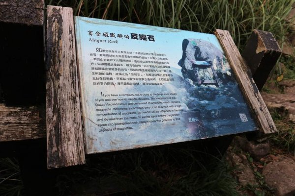 陽明山  菜公坑山 反經石   水車寮步道。林木蓊鬱  豐富的蕨類植披，絕佳避暑古道2174052