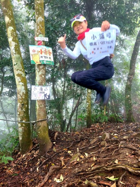 小百岳五指山連峰往返1946329