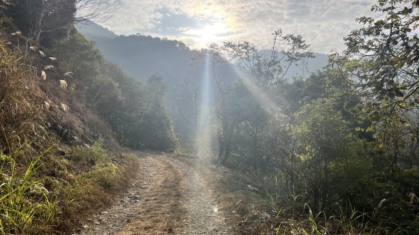 裡冷林道上八仙山標準路線2051830