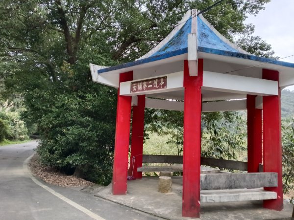 基隆市三層山+湳子大崙+淡基橫斷古道+面桶寮土地公2982291