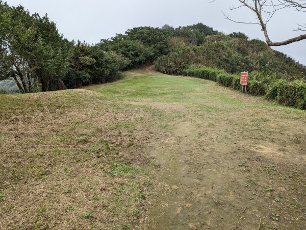 2023-02-11 槓子寮砲台、槓子寮山步道（龍崗步道）2792639
