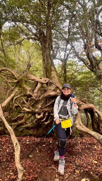 🌈12/28（日）北得拉曼神木+內鳥嘴山✨FB：熊熊趴爬走🌈2971271