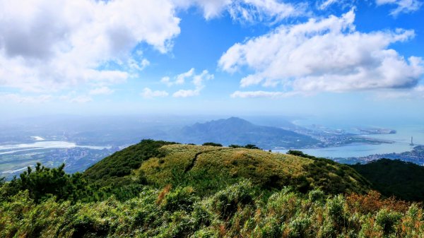 向天蝦不蝦2936827