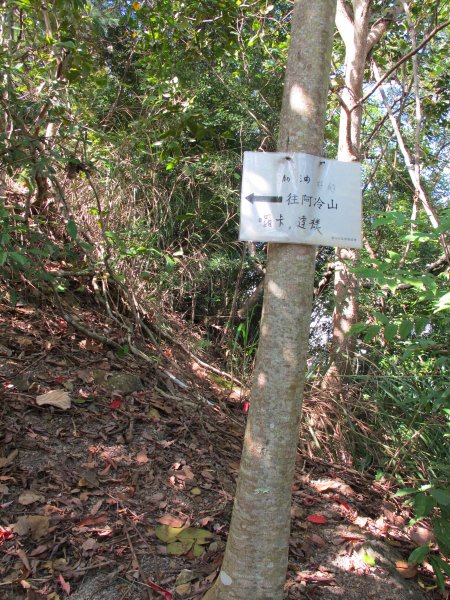 四壯士神木步道x阿冷山(北北峰)787465