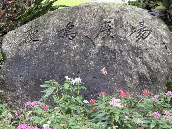 [2026臺北健走趣-11/50] 2026_0808_臺大舟山路3112206
