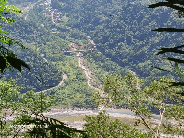 苗栗卓蘭大克山3103172