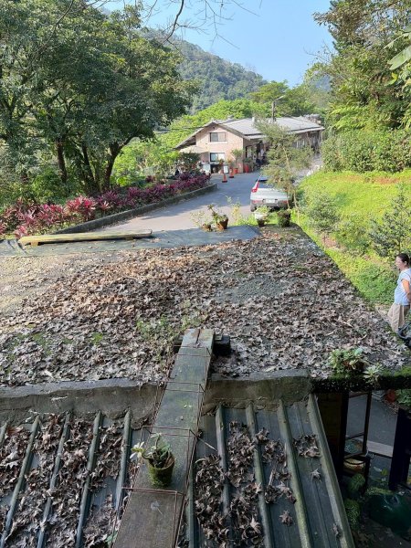 新北 三貂嶺生態友善隧道3004762