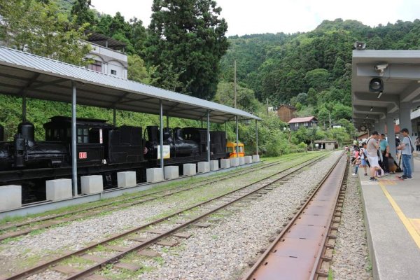 〔嘉義〕奮起步道 阿里山巨木步道 頂湖步道 祝山 小笠原山 對高岳山〔瑞里〕青年嶺 燕子崖 蝙蝠洞2222297