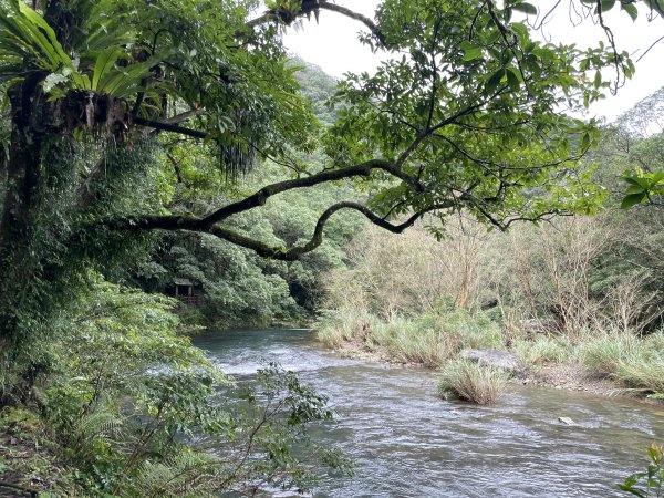 淡蘭古道中路第三段灣潭到威惠廟2974853