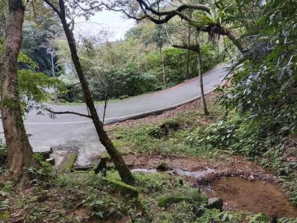 汐止區茄苳越嶺古道+上鹿窟崙山+九層坪山+四分尾山+大尖山8字走2981584