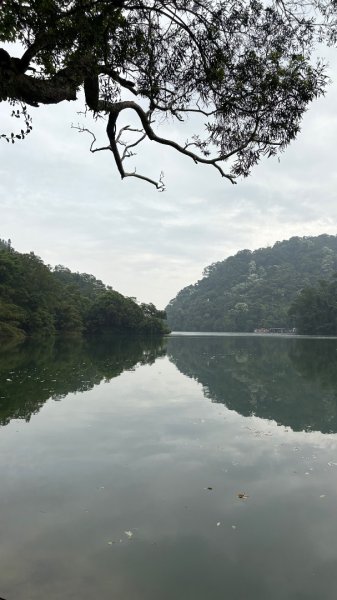 雙石+++牛背2776488