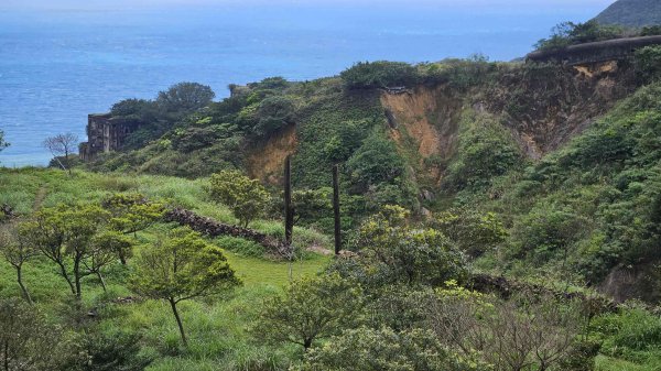 20260312瑞芳砲台山-水圳路3015921