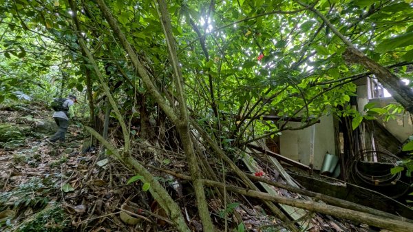 114.06.08門牙岩之O型2806617