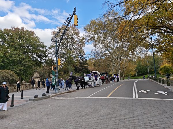 [紐約馬之行-11] 2025_1101 中央公園-畢士大露臺2945071