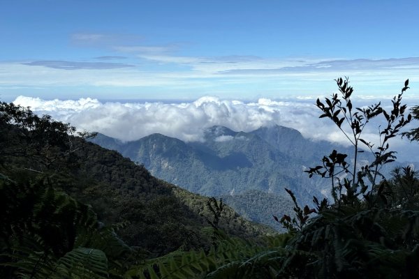 回程下雨的 松鶴上 八仙山 202510252925745