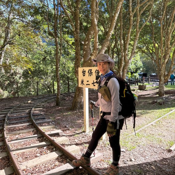 20251129殘念的八仙山-首登2956116