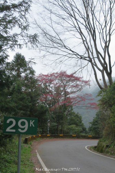 《台中》谷關七雄｜初登屋我尾山201703192890469