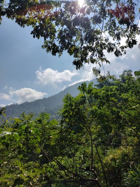 20231023 ⛰️小百岳 ☁️☁️☁️白雲山🧗2324188