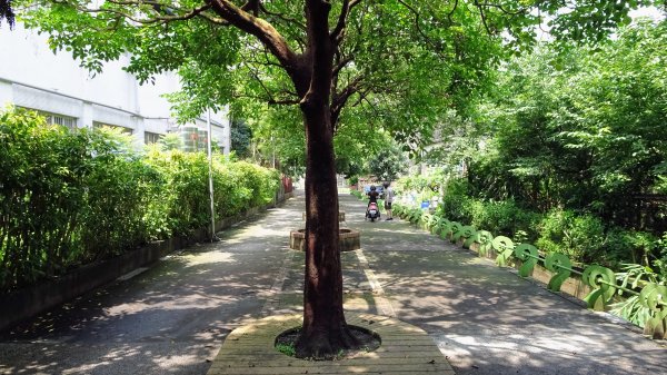 山佳荷花池2172750